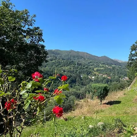 Respira Naturaleza Y Tranquilidad A 5' De Cangas Casa rural *